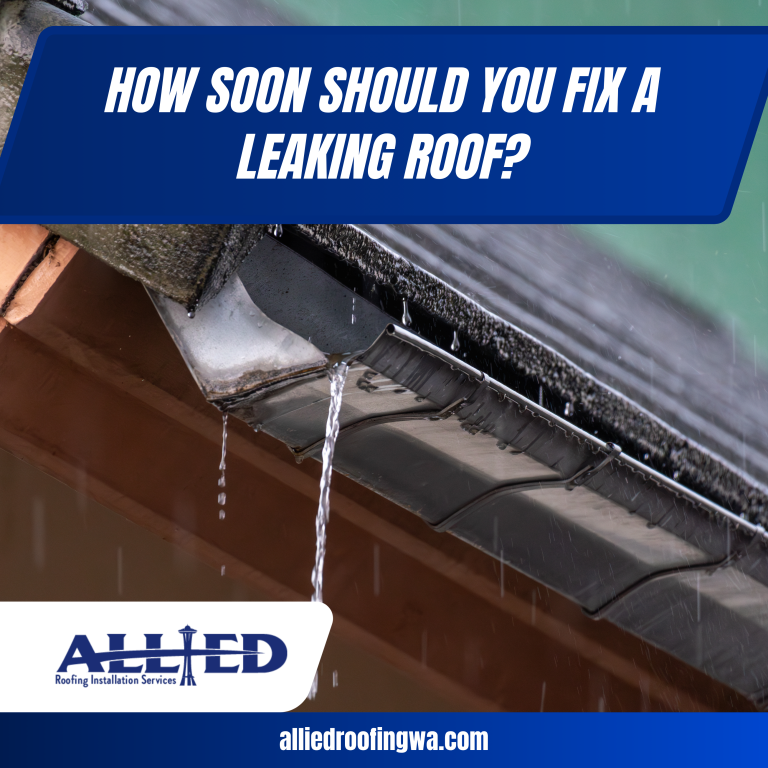How Soon Should You Fix a Leaking Roof