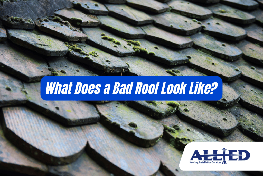 What Does a Bad Roof Look Like