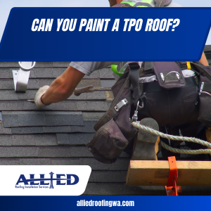 Can You Paint a TPO Roof